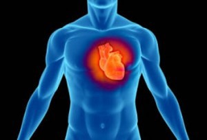 ferro-cuore-insufficienza-cardiaca-nutrizione
